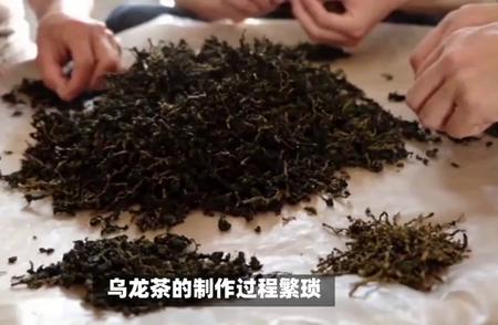 快速掌握：乌龙茶、绿茶和红茶差异全解析