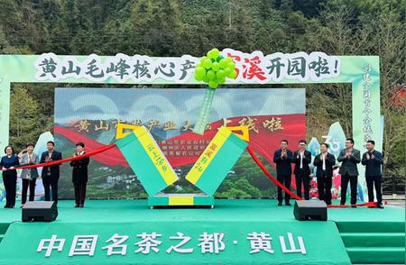 2024年盛大启幕：第十六届黄山毛峰茶文化节，绿色茶都焕新颜！