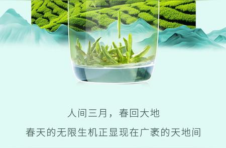 碧螺春新茶上市：品尝春天的初味