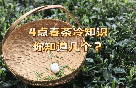 今日清明特辑：揭秘春茶的4个冷知识，让你避免陷阱