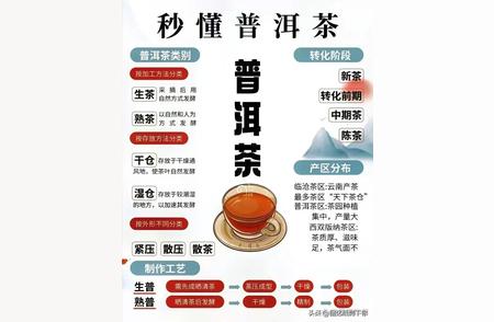 普洱茶入门：快速掌握所有基础知识