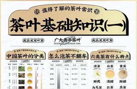 茶叶知识宝典：一本通