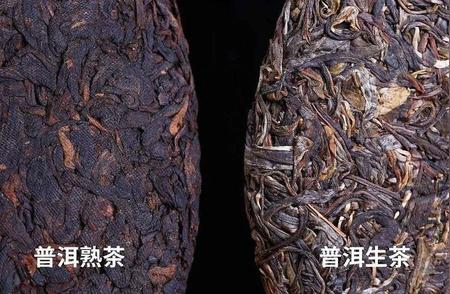 揭秘：一克熟茶含五亿霉菌，普洱茶还安全吗？