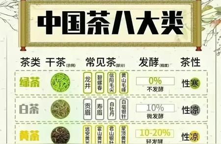 茶叶初学者指南：六大茶类与代表性茶叶一览