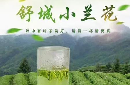 舒城小兰花：茶界的古老珍品，现代的新选择