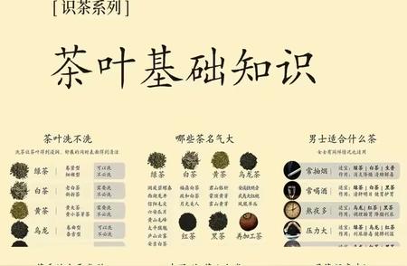 茶叶知识大全：一篇文章掌握基础要点