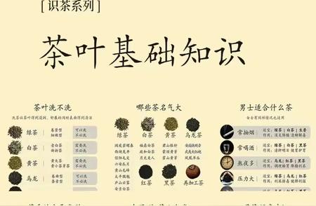 茶叶知识大全：一篇掌握所有基础