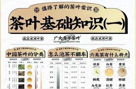 茶叶知识宝典：了解一切茶的奥秘