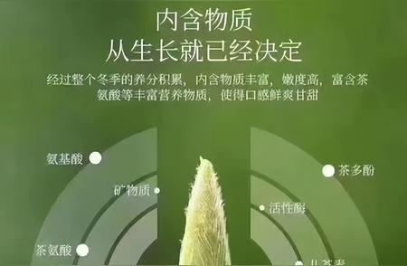 白毫银针：探寻珍稀茶香，品味非凡价值