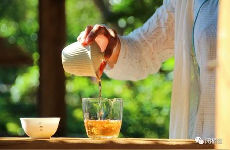 掌握3种泡茶技巧，日日享受美味茶饮