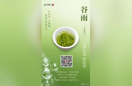 谷雨时节：在春天的怀抱中悠然品茶