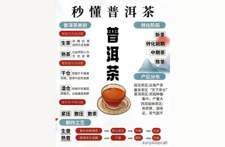 快速掌握普洱茶知识