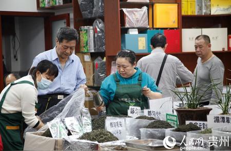 贵阳隆重举行2024“国际茶日”庆典：“贵州绿茶”品鉴盛会启幕