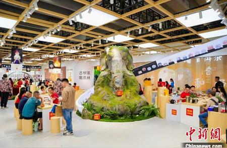 2024年广州春季茶博会盛大启幕，各地春茶魅力四溢