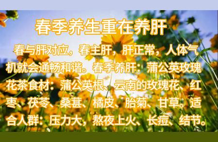 四季养生秘诀：蒲公英与玫瑰花茶的妙用