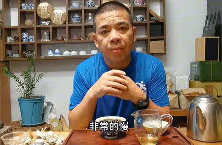 普洱茶购买指南：散茶、龙珠和饼茶的优势对比