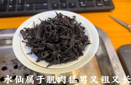 探索岩茶世界：如何挑选水仙、肉桂和大红袍？