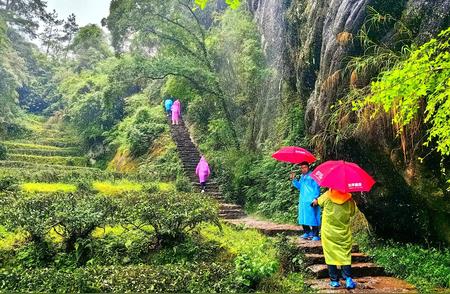 雨中探秘武夷山：大红袍景区首日游历记