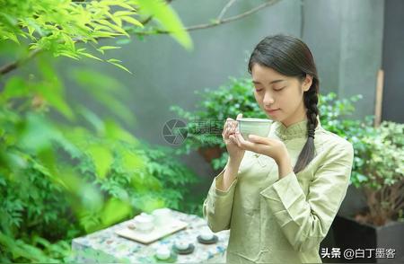茶道探秘：追溯千年的茶文化，体验宁静之美