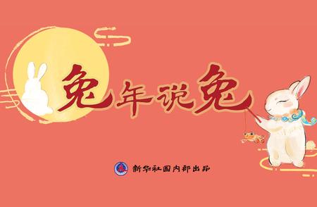 兔年探秘：一窥兔子的帅气与神秘