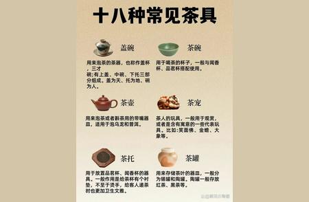 探索十八种常见茶具的魅力与传承