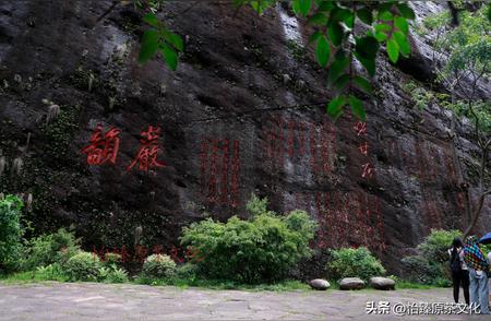 武夷岩茶全解析：一分钟了解所有山场