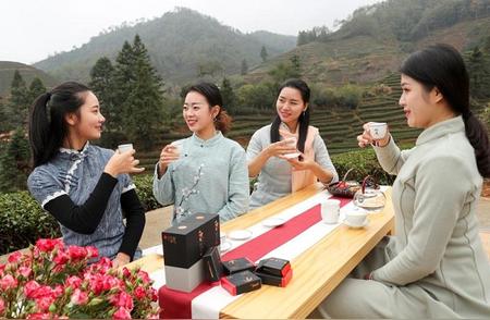 福建茶客：品味茶艺，传承茶文化