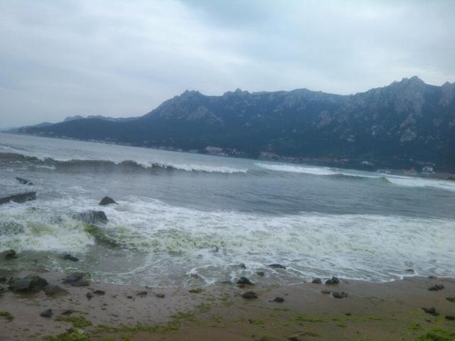 青岛旅游 崂山仰口这边的海滩上有很多绿石 捡上一块做个纪念